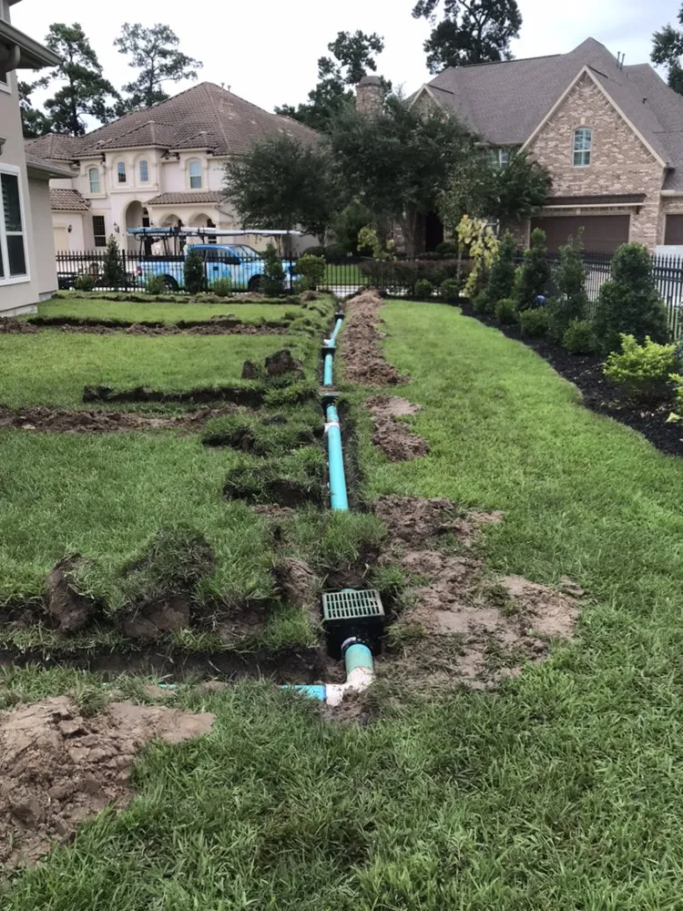 Expert lawn care service for outdoor upgrades in Willis, TX by AllPro Sprinklers