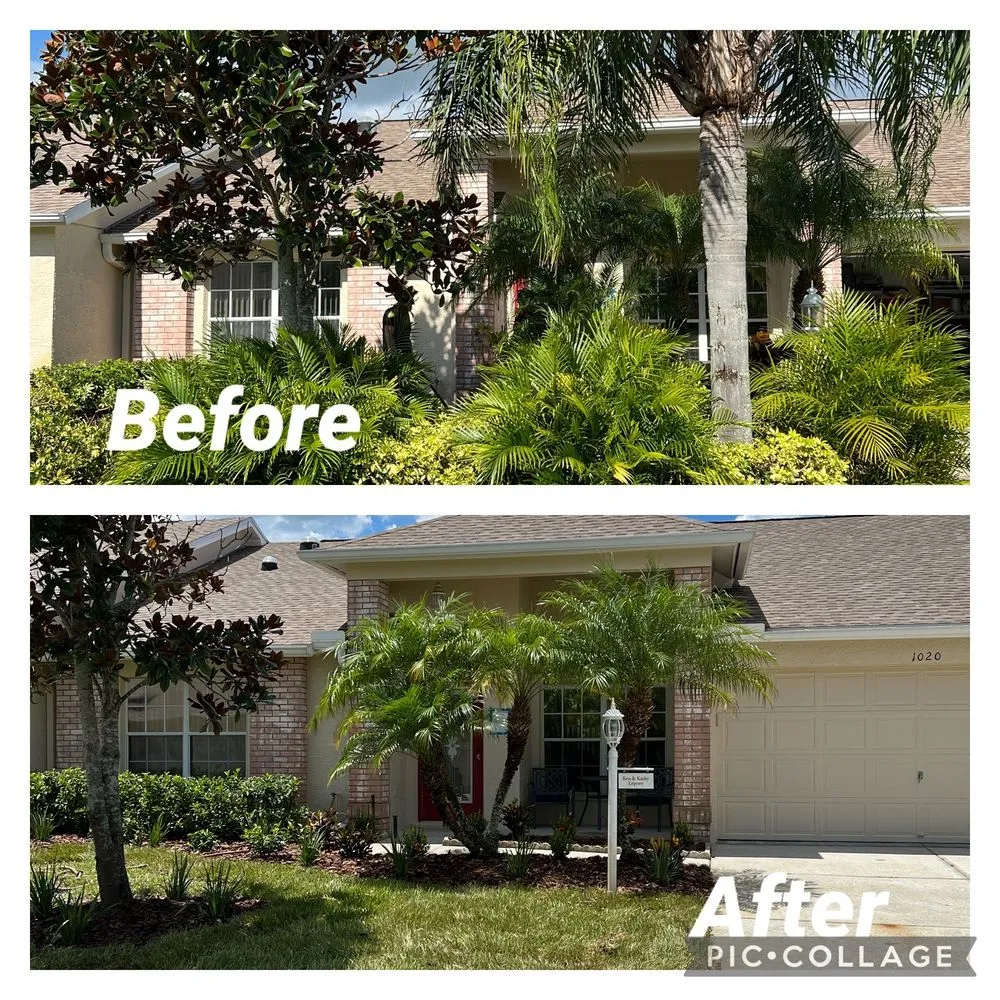 Reliable yard maintenance experts serving Trinity, FL - AllPro Tree & Landscaping
