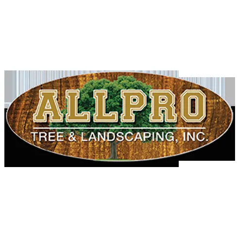 Top-rated lawn mowing service near you across Trinity, FL - AllPro Tree & Landscaping