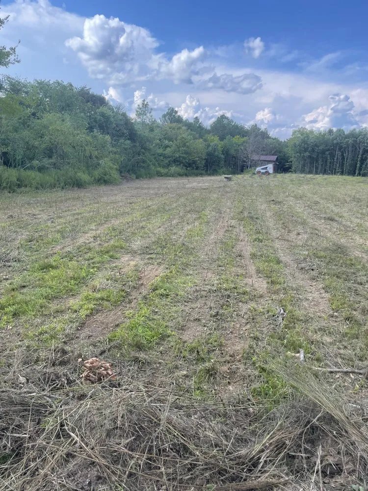 Custom yard maintenance for outdoor upgrades in Ramseur, NC by Allred Excavation & Grading