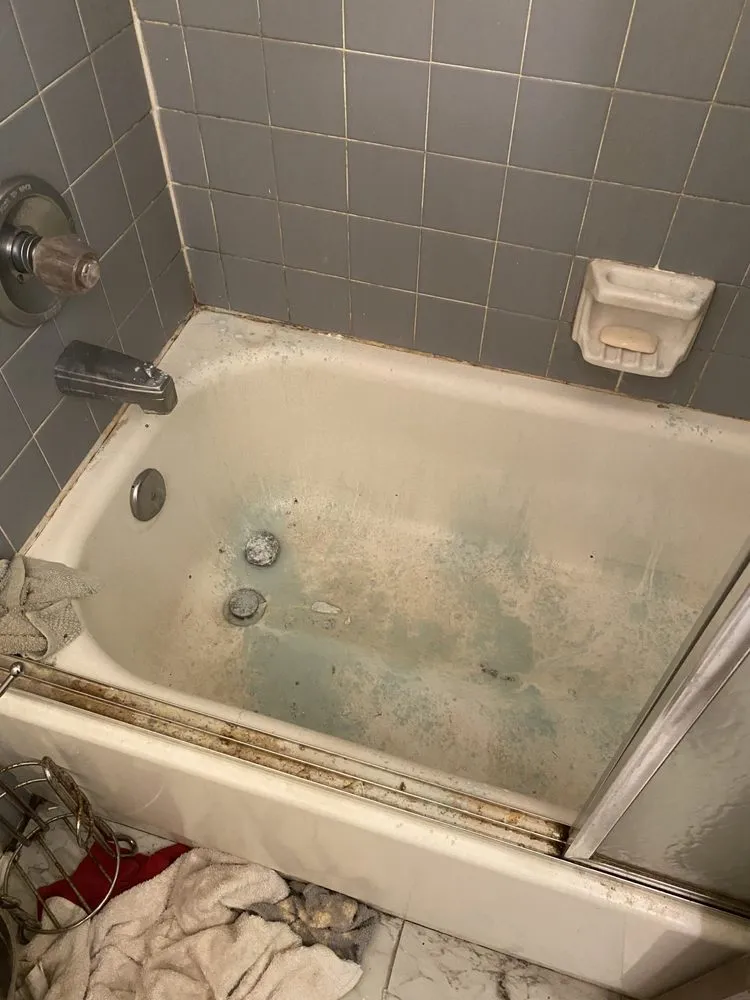 Top-rated residential landscaping experts serving Gretna, FL - Alls Cleaning and Lawn Service