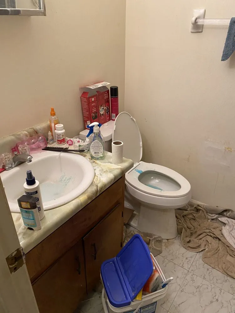 Reliable landscape design with custom design across Gretna, FL - Alls Cleaning and Lawn Service