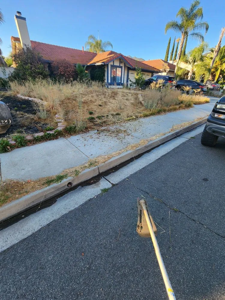 Reliable lawn mowing service for beautiful yards across Hemet, CA - Allscape Landscape