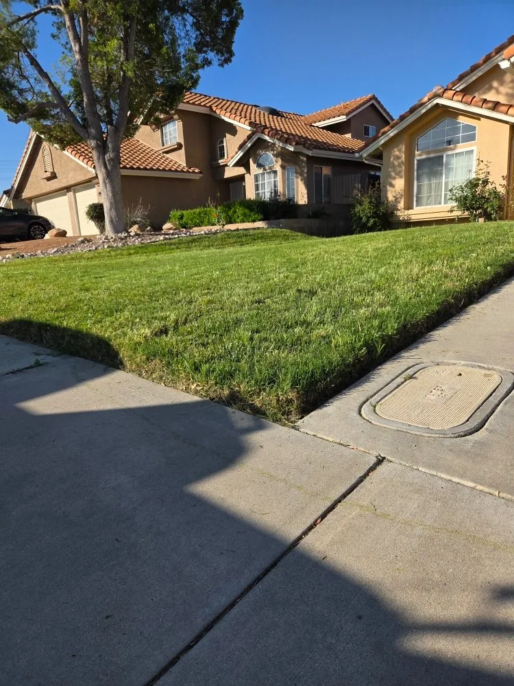 Affordable lawn mowing service experts serving Hemet, CA - Allscape Landscape