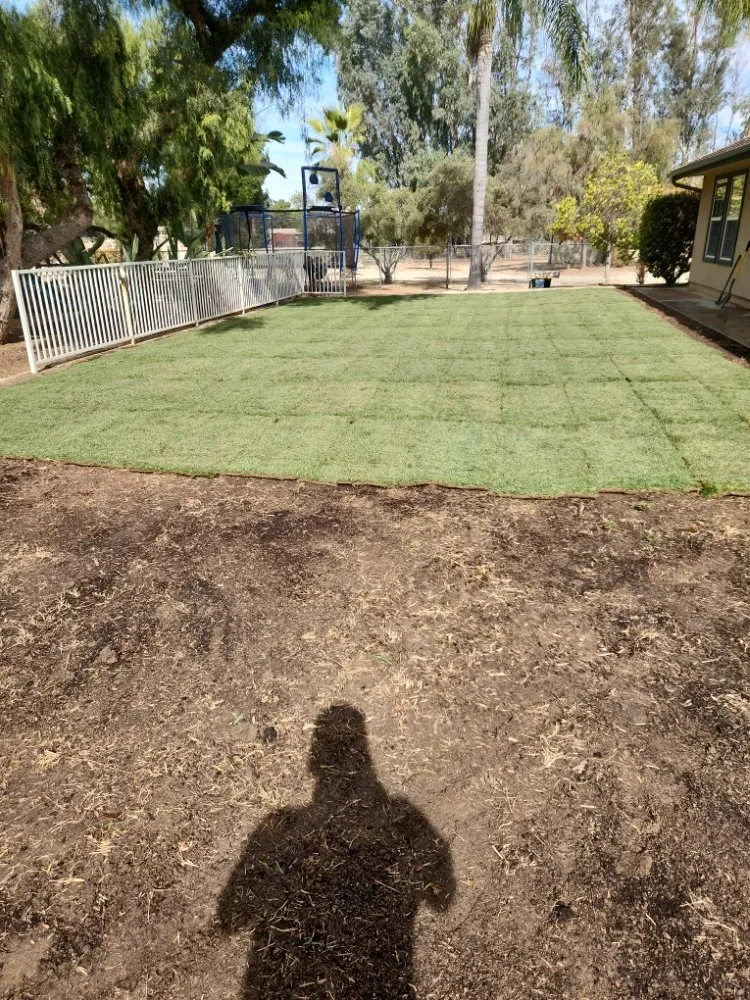 Local yard maintenance for homes across Hemet, CA - Allscape Landscape