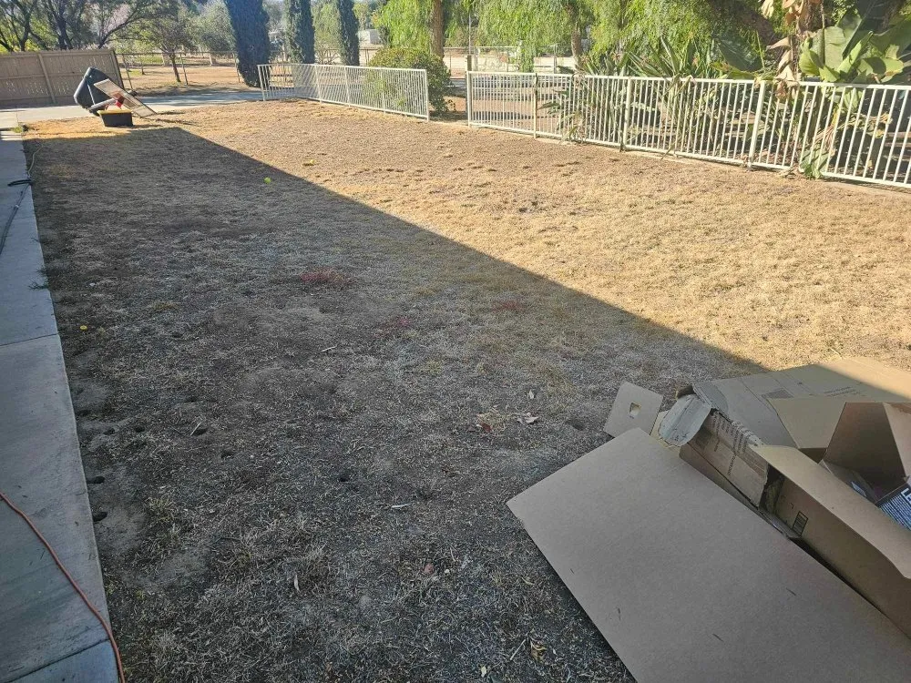 Top-rated lawn mowing service in Hemet, CA - Allscape Landscape