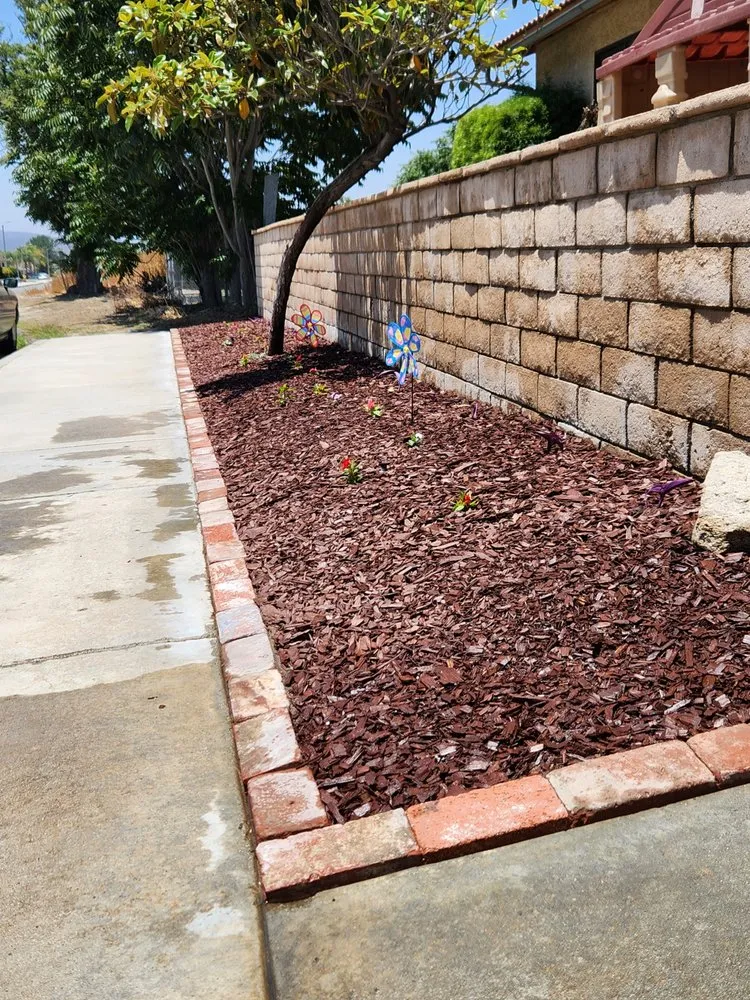 Affordable lawn care service experts serving Hemet, CA - Allscape Landscape