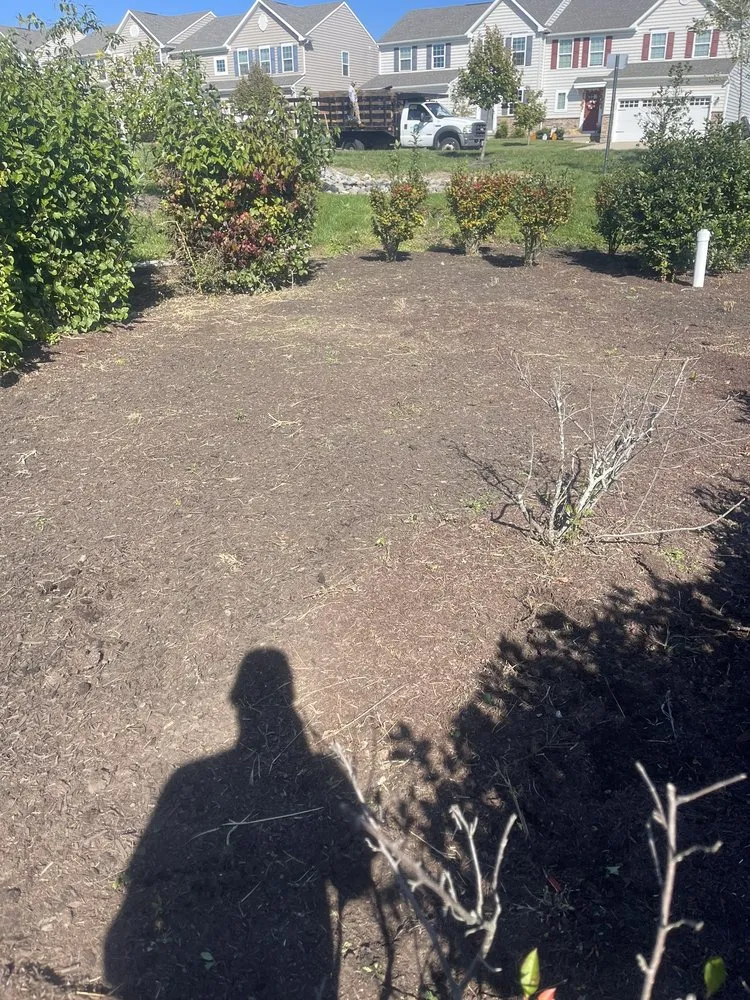 Reliable lawn care service in North East, MD - Allscape Landscaping Hardscaping