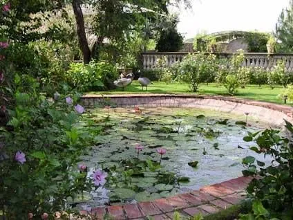 Custom yard cleanup service near you in Lakemoor, IL by Allscape Services