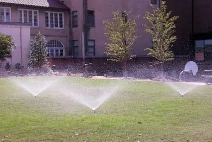 Professional yard maintenance in Lakemoor, IL by Allscape Services