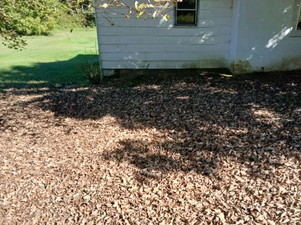 Trusted lawn care service in churchhill, TN by Allscape Solutions