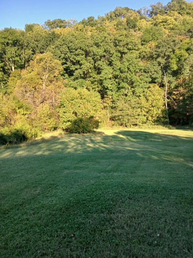 Reliable yard cleanup service in churchhill, TN - Allscape Solutions