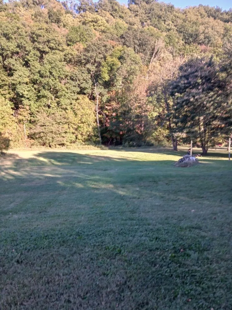 Reliable yard cleanup service experts serving churchhill, TN - Allscape Solutions
