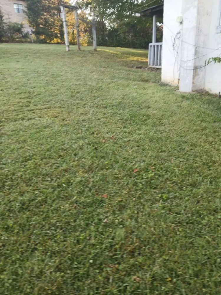 Local landscape installation near you across churchhill, TN - Allscape Solutions