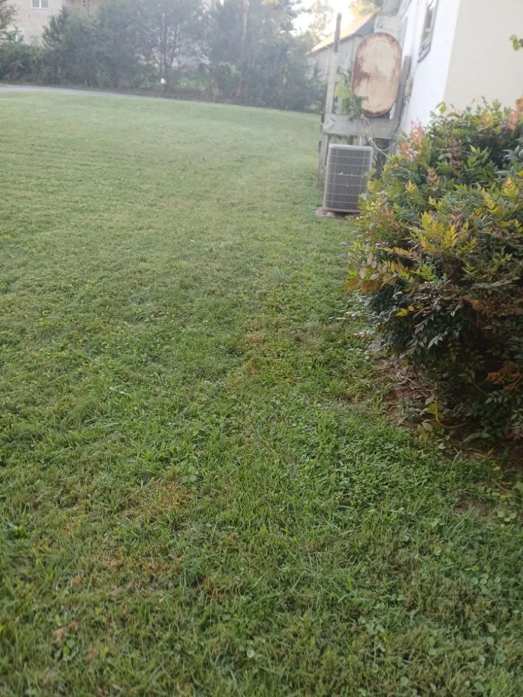 Expert landscaping services for residential properties in churchhill, TN by Allscape Solutions