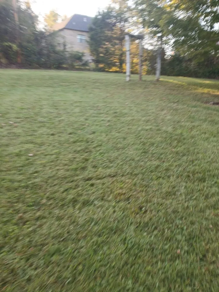 Expert yard cleanup service in churchhill, TN by Allscape Solutions