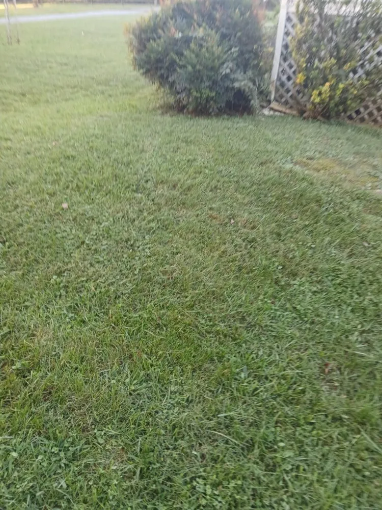 Custom landscape installation for beautiful yards in churchhill, TN by Allscape Solutions
