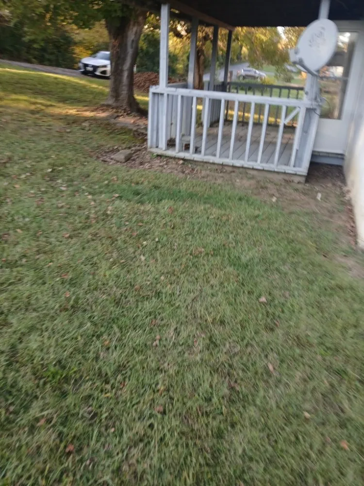 Reliable yard cleanup service in churchhill, TN - Allscape Solutions