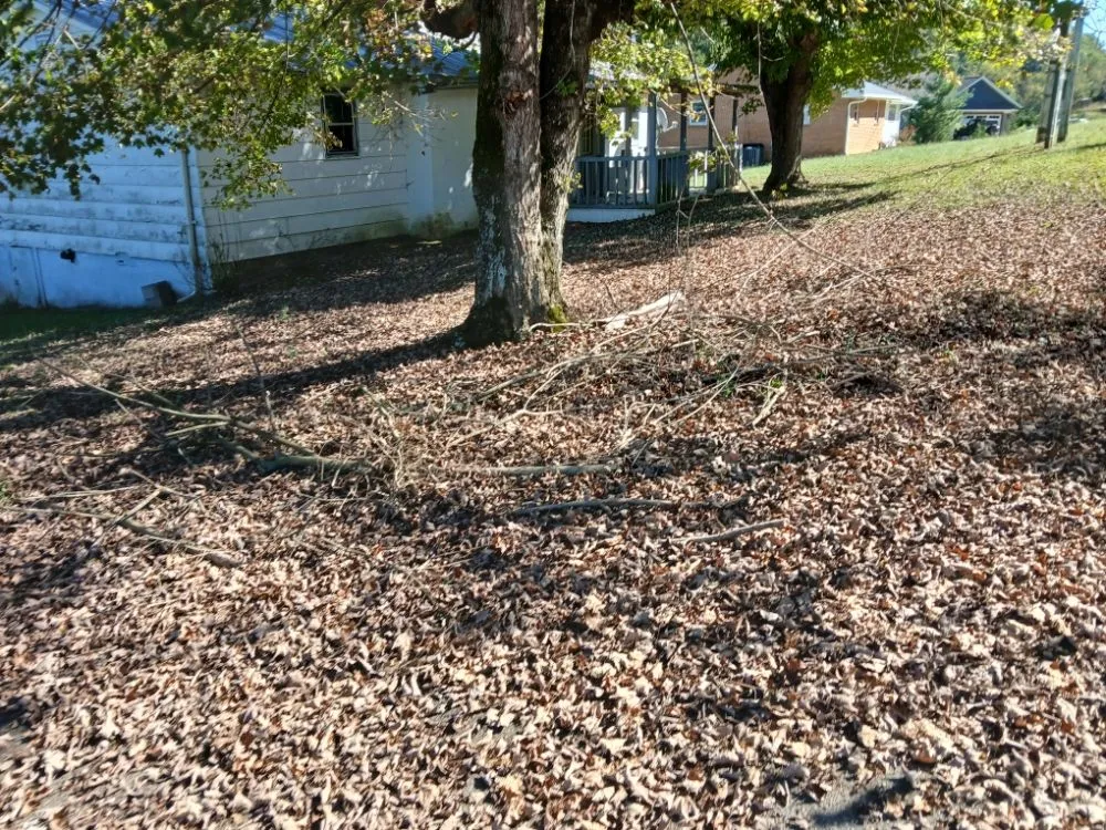 Professional landscape installation in churchhill, TN by Allscape Solutions