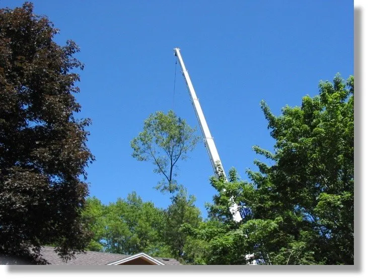 Affordable garden landscaping in Plymouth, MA by Allscape Tree & Turf Services