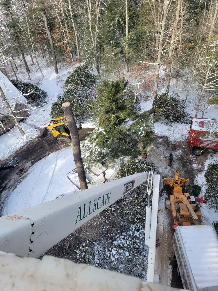 Local lawn mowing service in Plymouth, MA by Allscape Tree & Turf Services