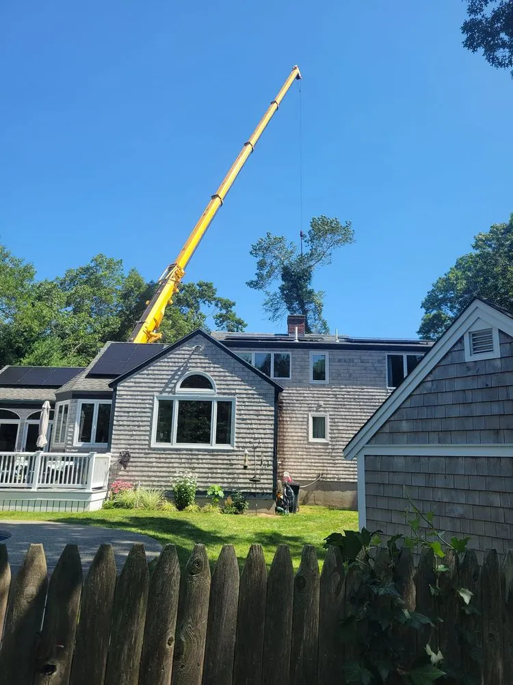 Affordable lawn care service in Plymouth, MA - Allscape Tree & Turf Services