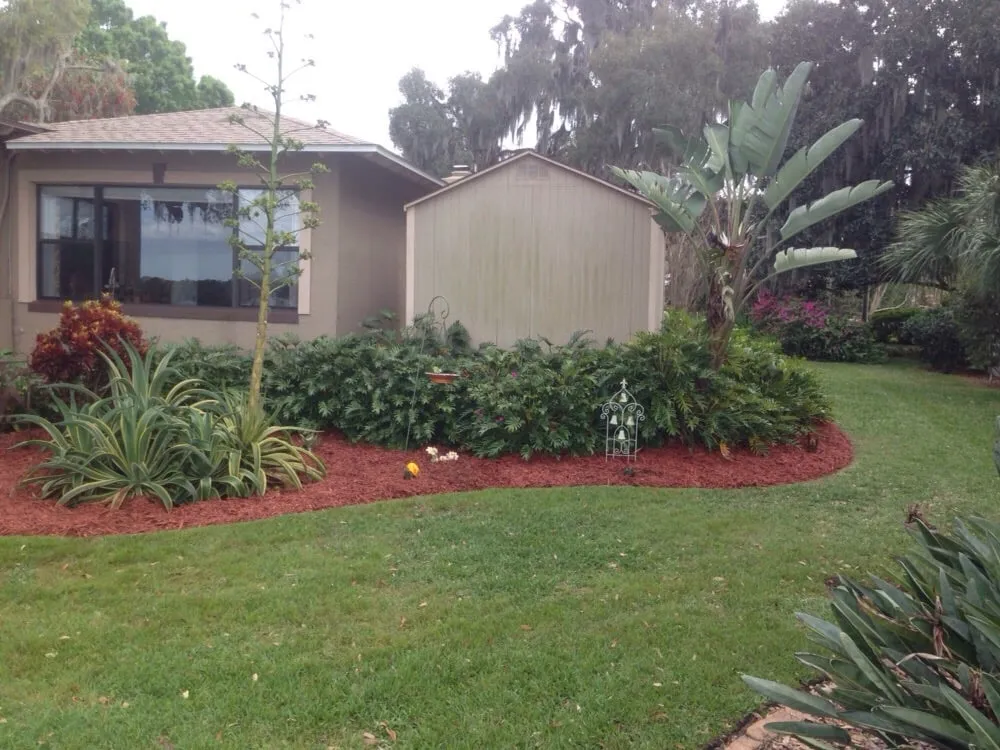 Local yard maintenance in Eustis, FL - Allscapes by Jeremy