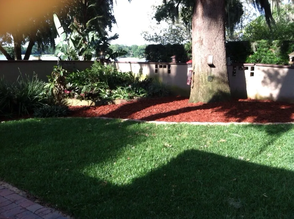 Expert yard maintenance in Eustis, FL by Allscapes by Jeremy
