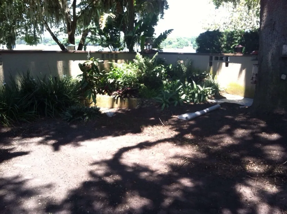 Expert yard maintenance experts serving Eustis, FL - Allscapes by Jeremy
