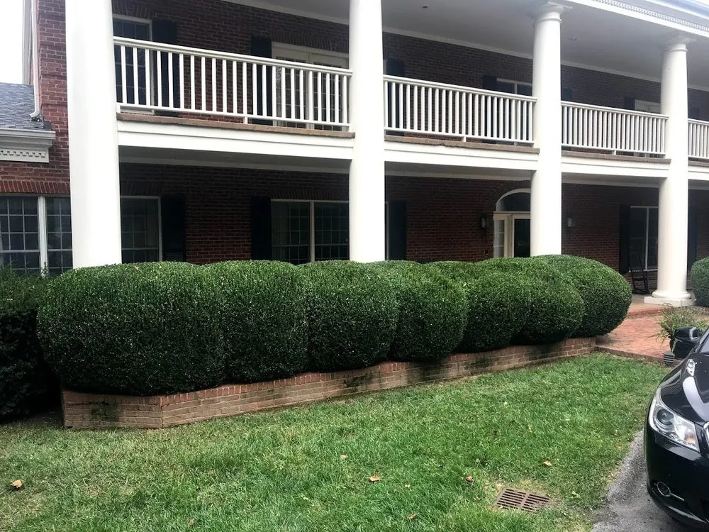 Top-rated outdoor landscaping in Chattanooga, TN - Allscapes Lawn Care & Landcaping