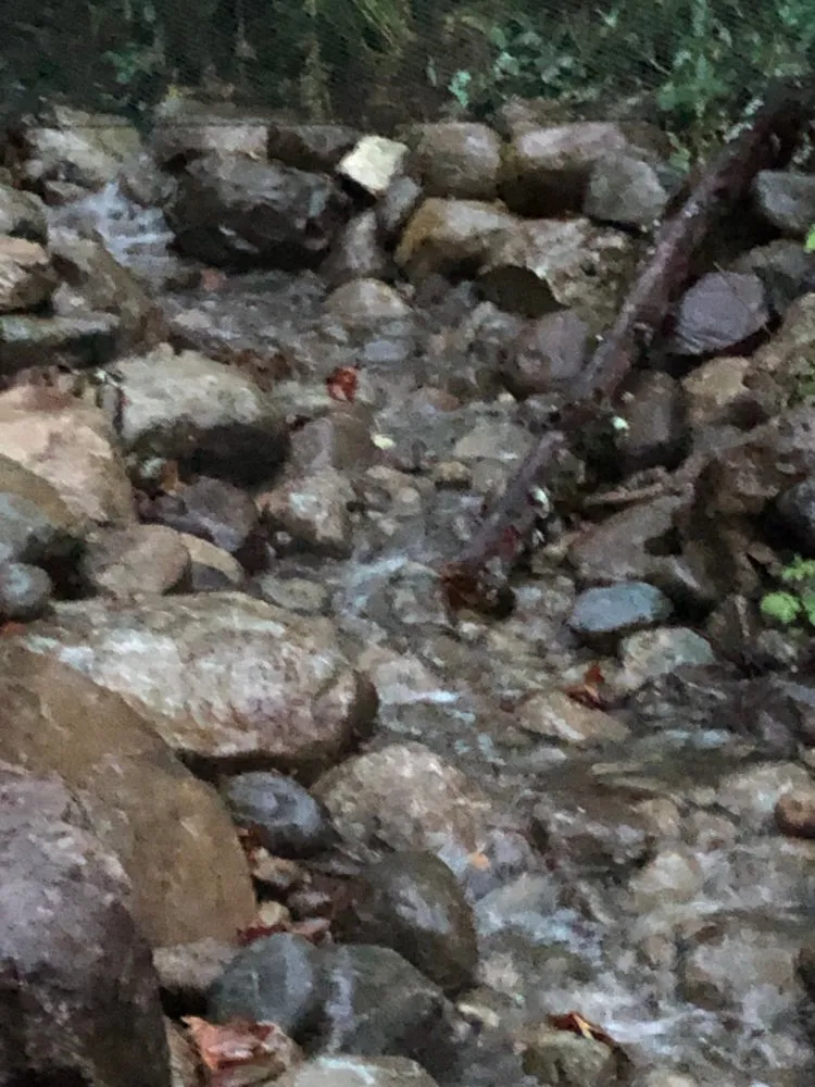 Expert lawn care service experts serving North Bend, WA - Allscapes NW