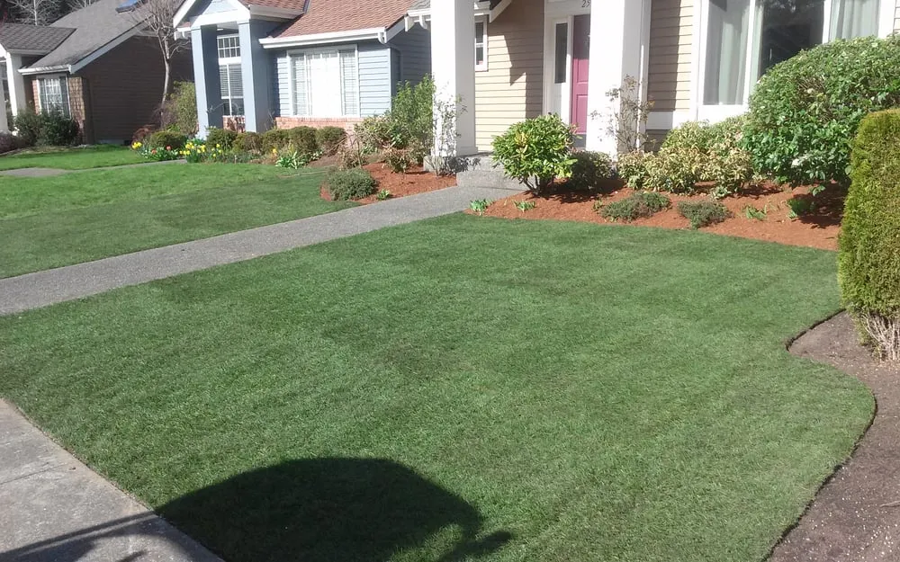 Custom yard maintenance experts serving North Bend, WA - Allscapes NW