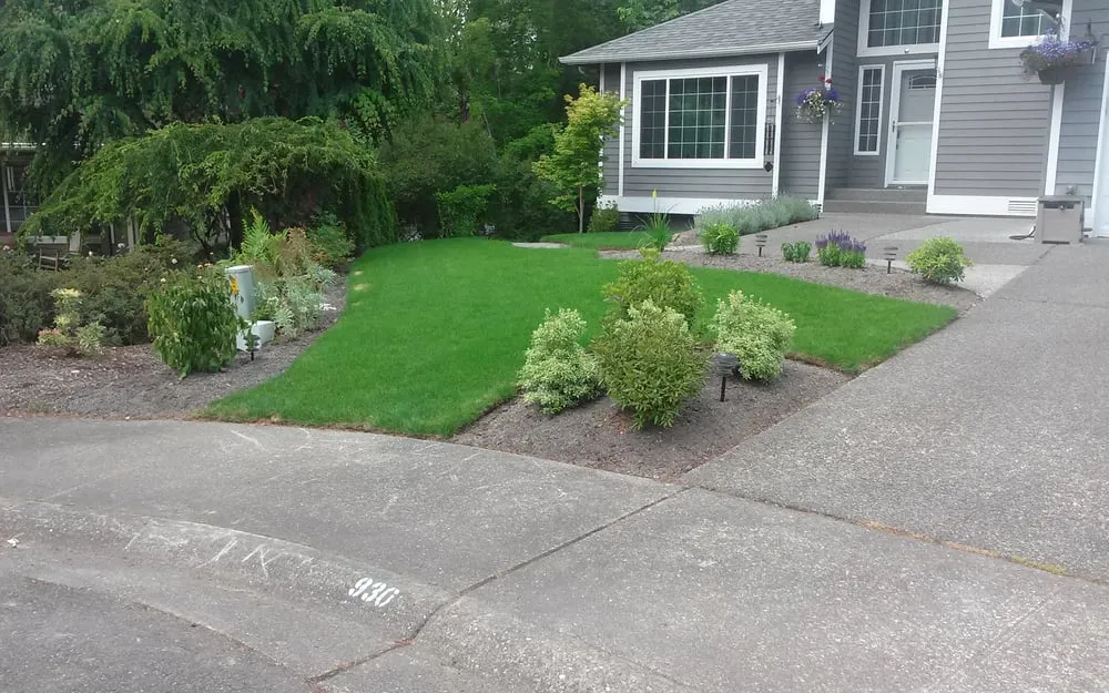 Local lawn mowing service experts serving North Bend, WA - Allscapes NW