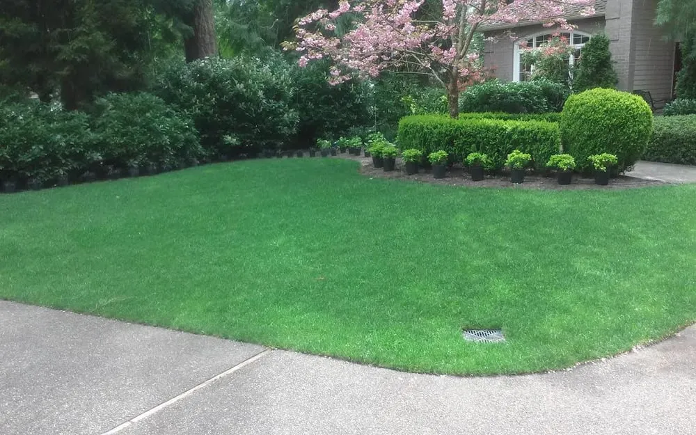 Reliable lawn mowing service in North Bend, WA by Allscapes NW