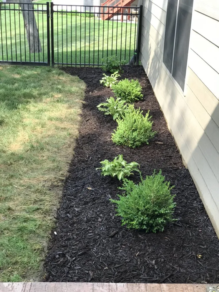 Professional lawn mowing service experts serving Columbia, MO - AllService Home And Lawn