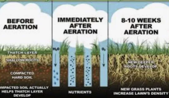 AllService Home And Lawn Logo