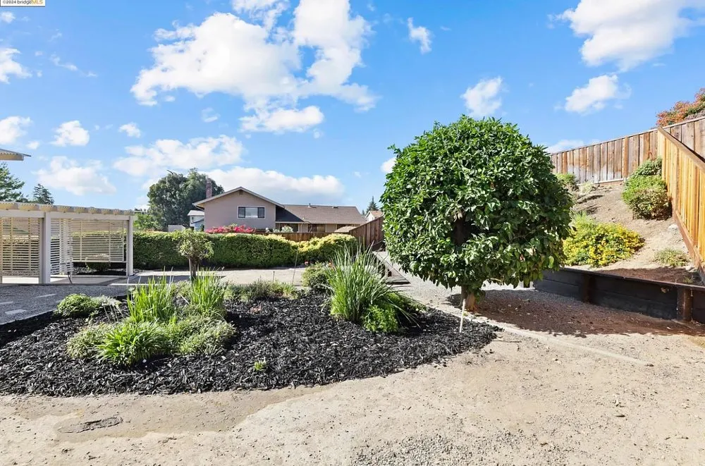 Affordable yard cleanup service in San Jose, CA by Allsite Corporation Landscaping