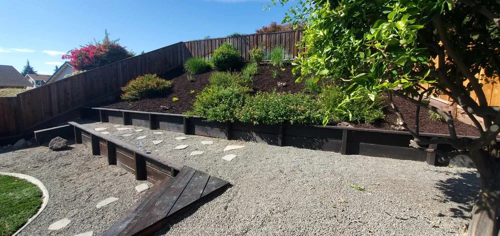 Expert lawn mowing service in San Jose, CA - Allsite Corporation Landscaping