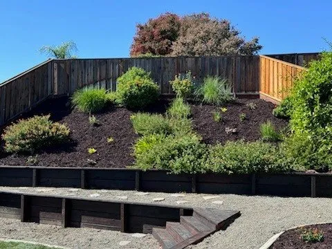 Local lawn care service for homes across San Jose, CA - Allsite Corporation Landscaping