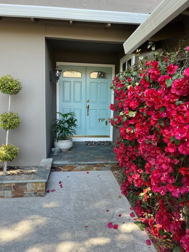 Reliable residential landscaping experts serving San Jose, CA - Allsite Corporation Landscaping