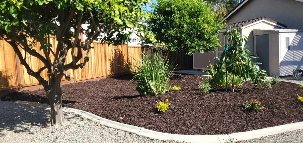 Expert residential landscaping for outdoor upgrades across San Jose, CA - Allsite Corporation Landscaping