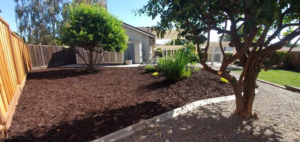 Expert residential landscaping experts serving San Jose, CA - Allsite Corporation Landscaping
