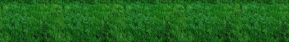 Expert lawn mowing service in Stanwood, WA by Allstar Hydroseeding