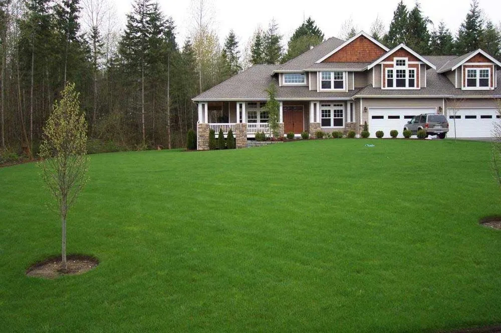 Custom landscape installation in Stanwood, WA - Allstar Hydroseeding