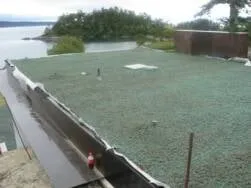 Professional garden landscaping for beautiful yards in Stanwood, WA by Allstar Hydroseeding