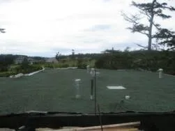 Professional yard maintenance for year-round maintenance in Stanwood, WA by Allstar Hydroseeding