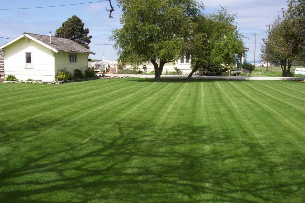 Trusted landscape installation for outdoor upgrades across Stanwood, WA - Allstar Hydroseeding