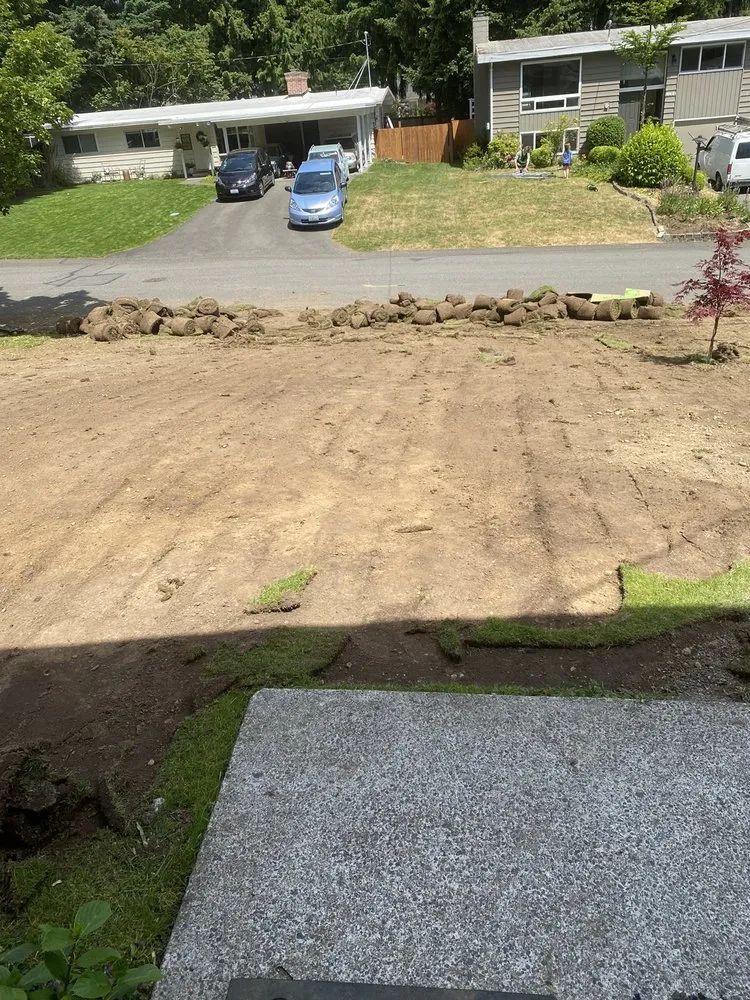 Trusted yard cleanup service for year-round maintenance across Stanwood, WA - Allstar Hydroseeding