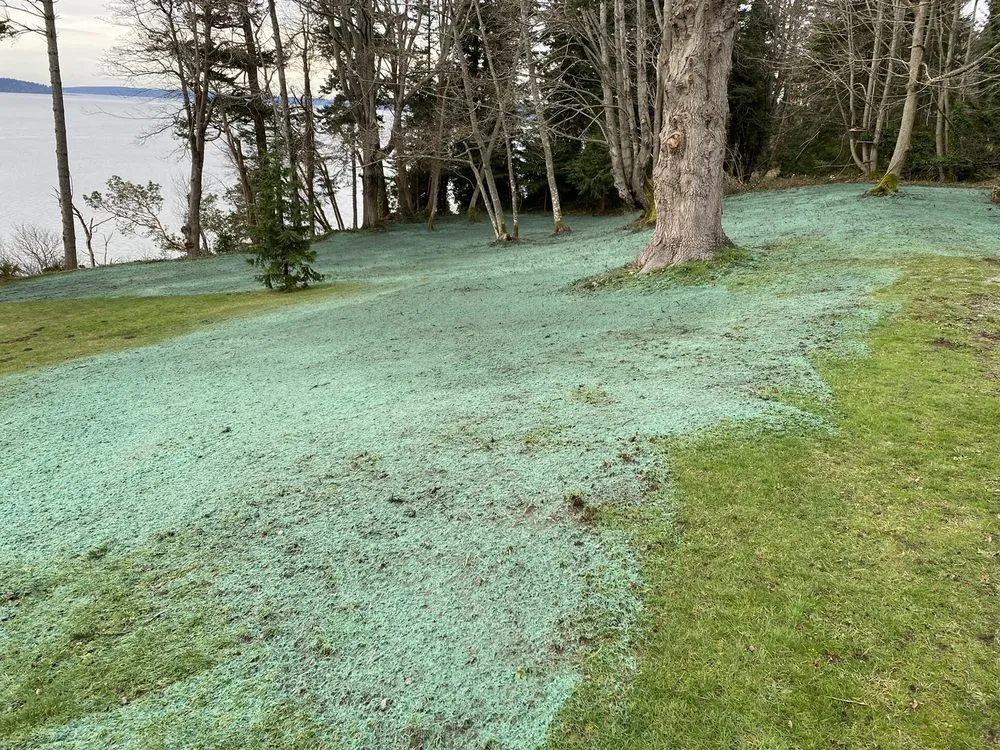 Affordable landscaping services in Stanwood, WA by Allstar Hydroseeding