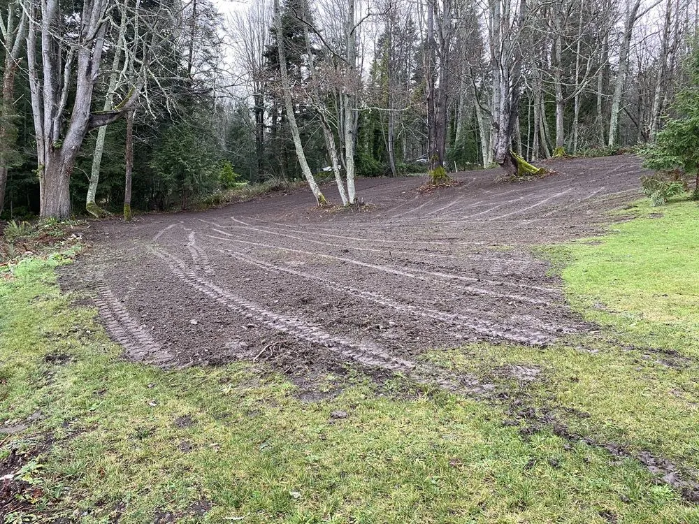 Expert outdoor landscaping experts serving Stanwood, WA - Allstar Hydroseeding